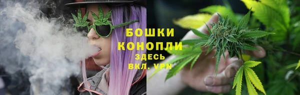 apvp Аркадак