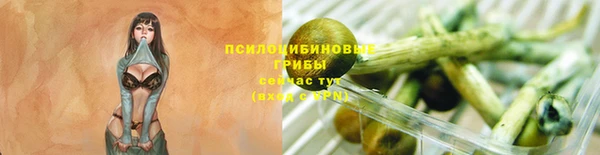 первитин Лагань