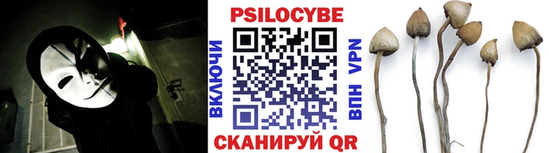 Галлюциногенные грибы Cubensis  Бабаево 