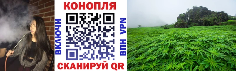 купить   Бабаево  Марихуана индика 